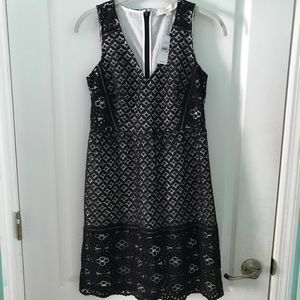 NWT Elegant  LOFT dress
