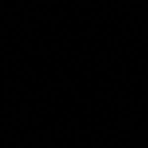 Meet your Posher, Camilla