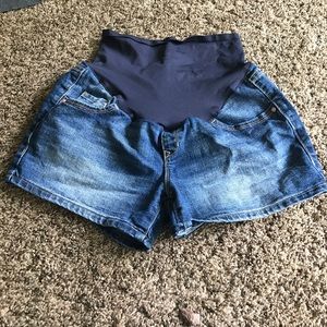 Maternity Shorts