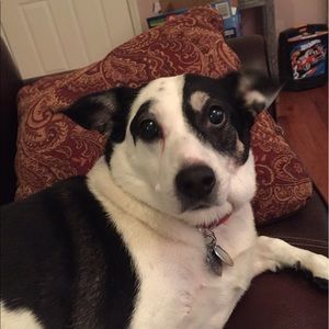 Meet your Posher, Jade