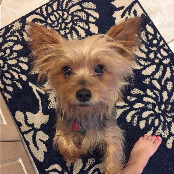 Meet your Posher, Shannon - Picture 1 of 1