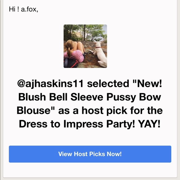 🔥Last 1 -Sale🌸Blush Bell Sleeve Pussy Bow Blouse - Picture 3 of 5