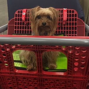 Meet your Posher, Sara