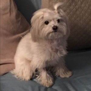 Meet your Posher, Martin