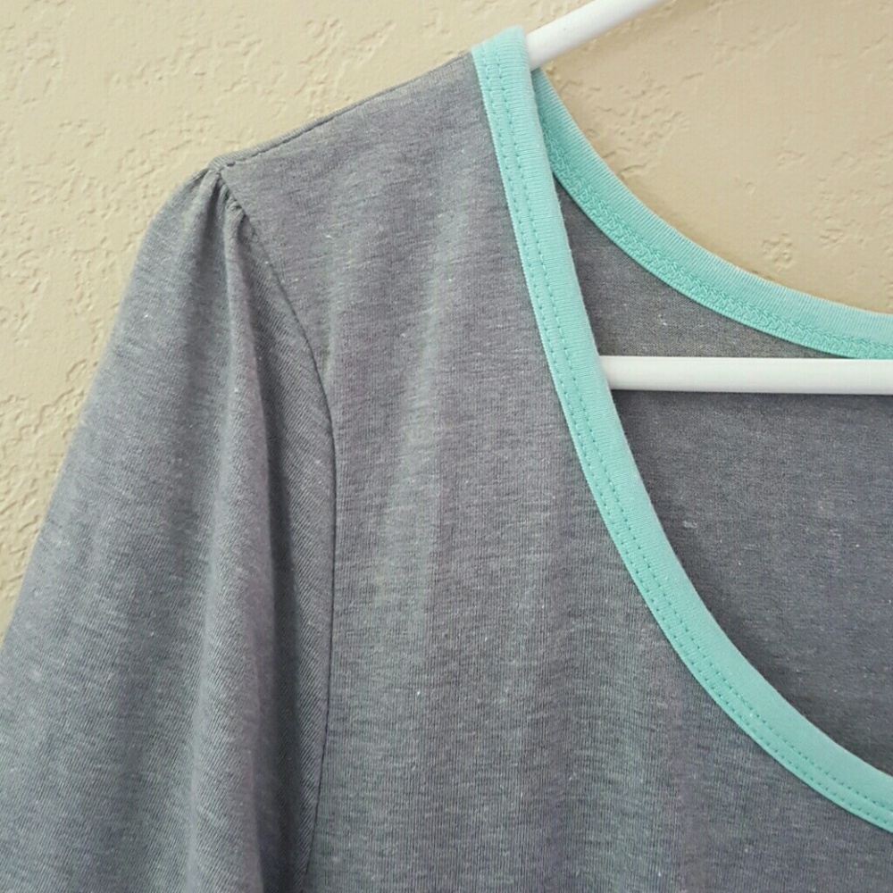 Rare Solid Grey Ana with Blue-Green Piping