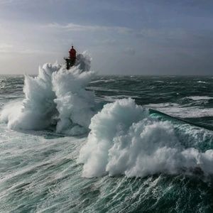 Meet your Posher, Gavin