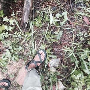 Meet your Posher, Bryan