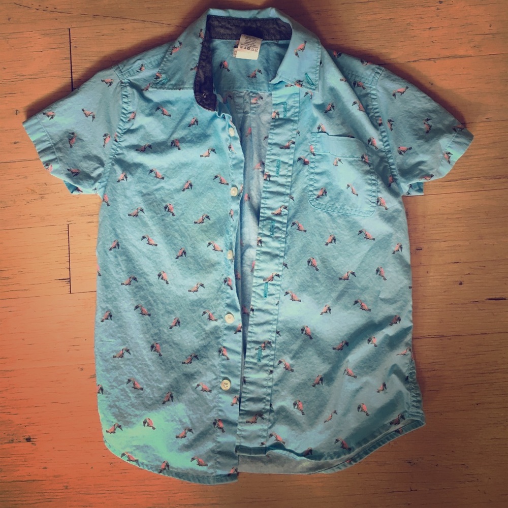 🐠 J Crew- Boys 4/5 Shirt, Parrot Prints