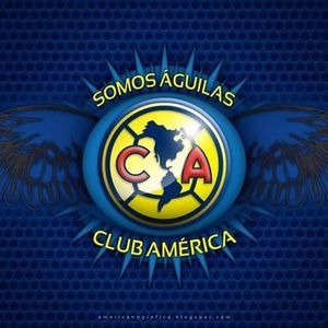 Meet your Posher, Adrian