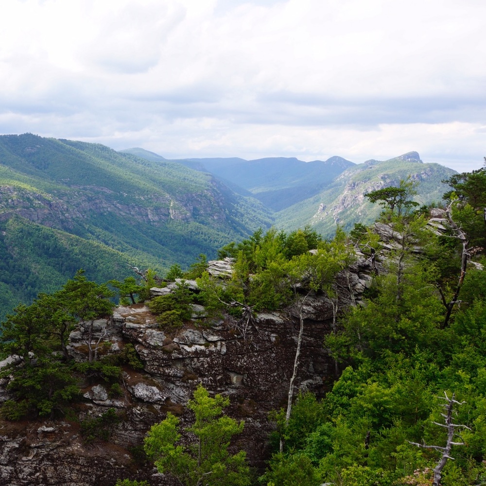 Meet your Posher, Joy