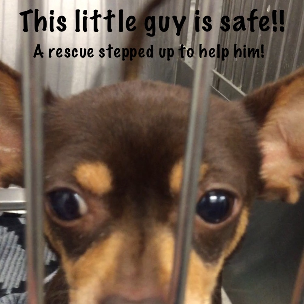 Buy clothes and help me save a life!! Update: SAFE