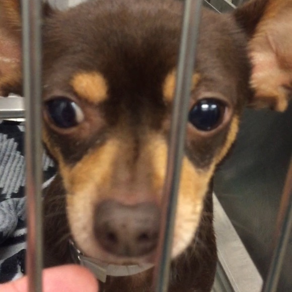 Buy clothes and help me save a life!! Update: SAFE - Picture 2 of 7