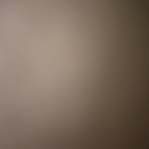 Meet your Posher, Demonica