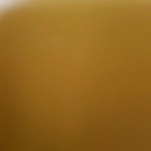 Meet your Posher, Linh