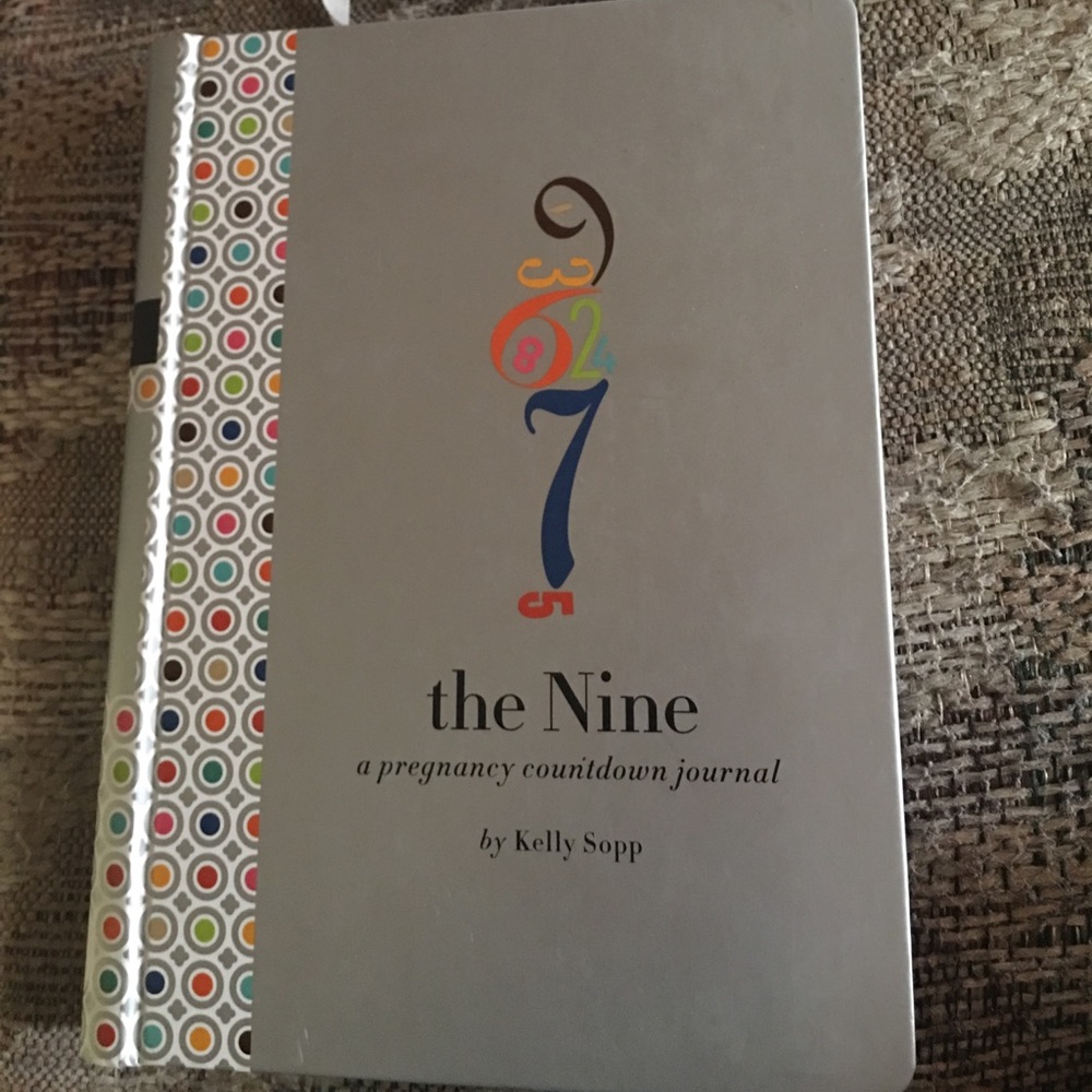 The nine month pregnancy countdown journal