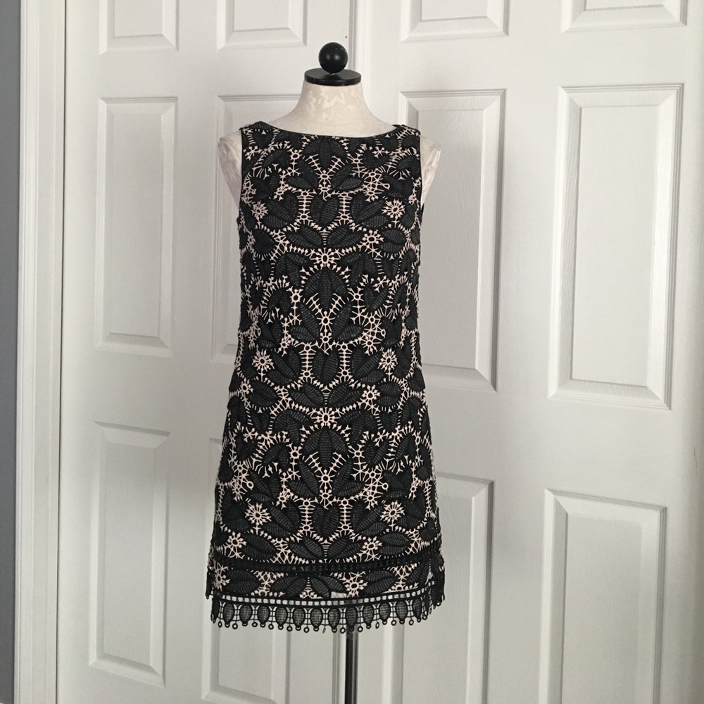 Anna Sui Falling Leaf Lace Dress - Picture 2 of 6