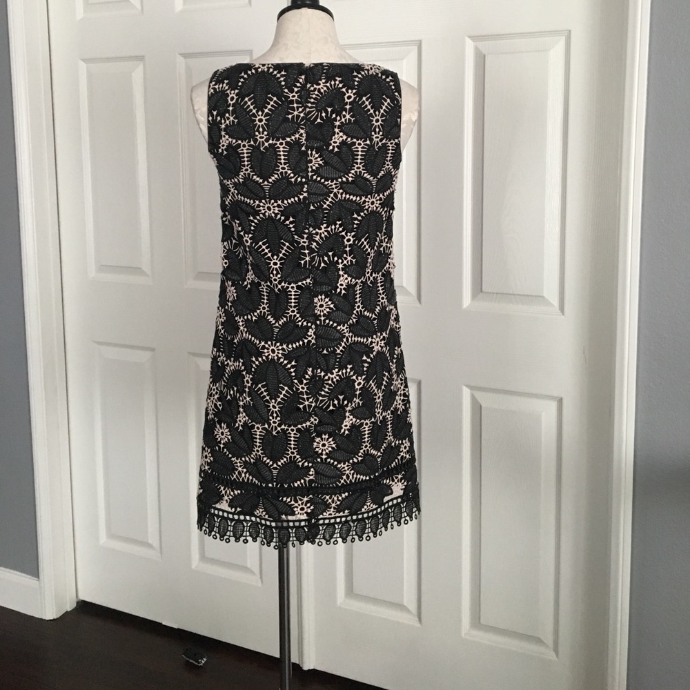 Anna Sui Falling Leaf Lace Dress - Picture 5 of 6