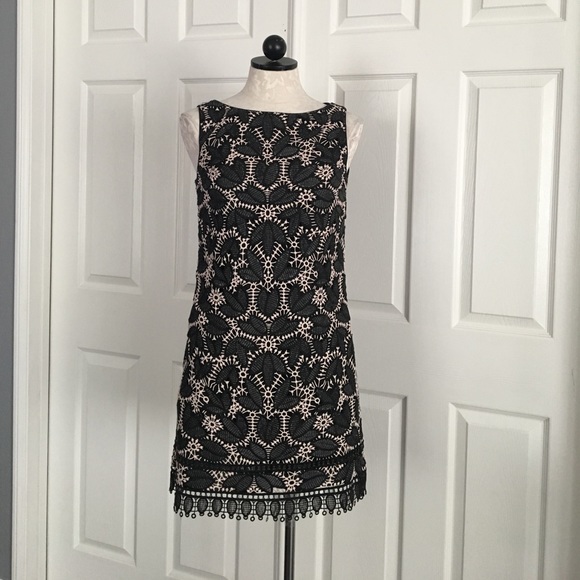 Anna Sui Falling Leaf Lace Dress - Picture 2 of 6