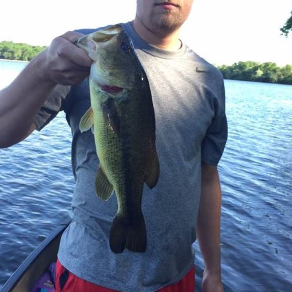 Meet your Posher, Noah