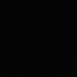 Meet your Posher, Brendan