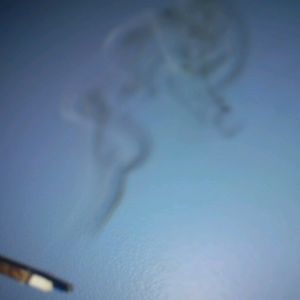 Meet your Posher, Lily