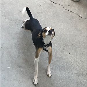 Meet your Posher, Kim