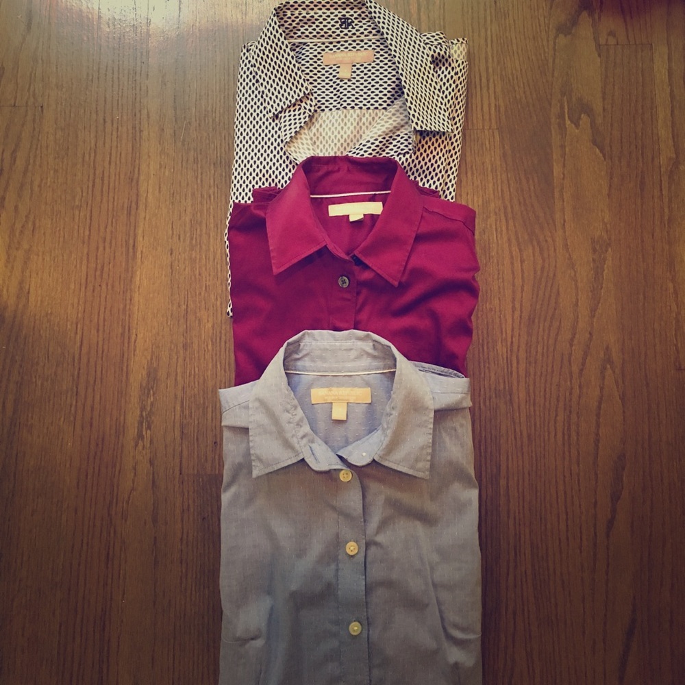 Lot of 3 BR non-iron "tailored" button downs