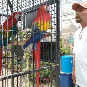 Meet your Posher, Darlene