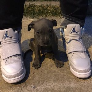 Meet your Posher, Cameron