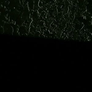 Meet your Posher, Felix