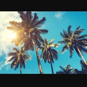 Meet your Posher, Francine