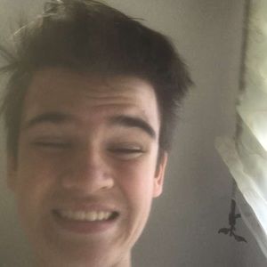 Meet your Posher, Nib