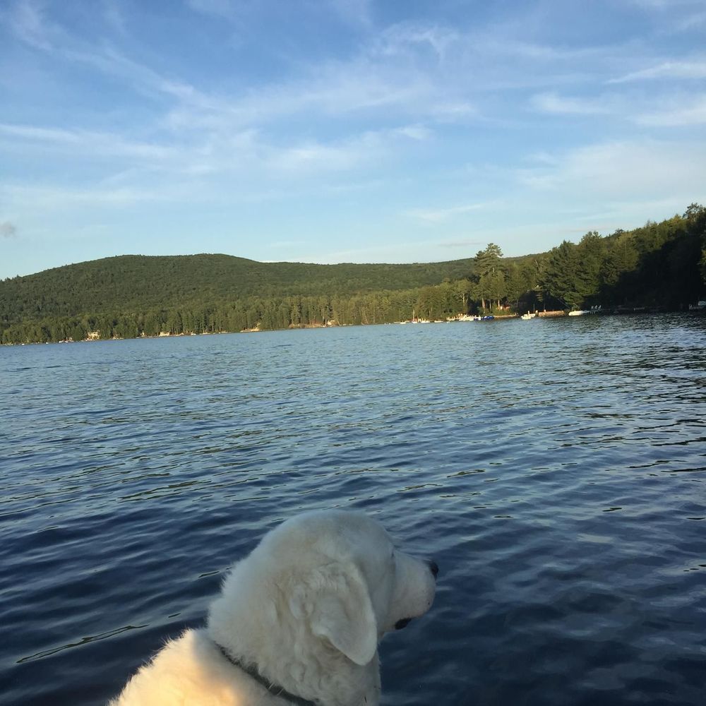 Meet your Posher, Tracy