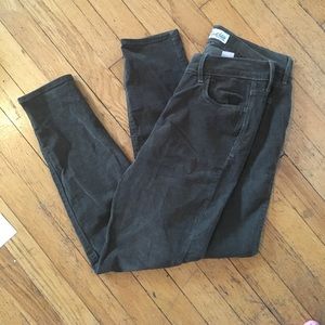 Olive Green RockStar Cords