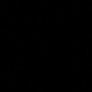 Meet your Posher, Eva