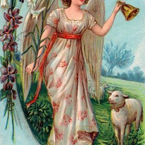 Meet your Posher, Jane