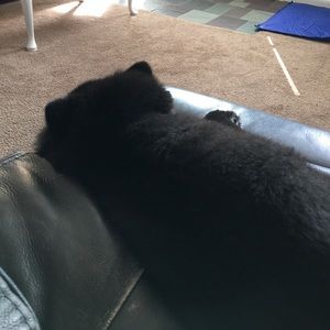 Meet your Posher, Sandi