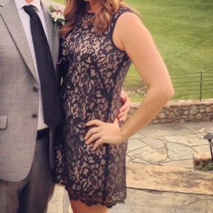 Gorgeous loft lace dress - worn once!