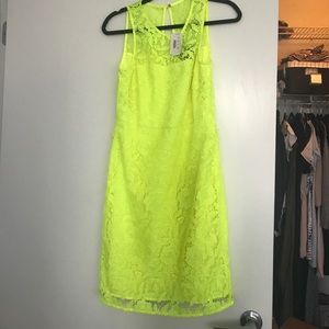 J.Crew lace dress