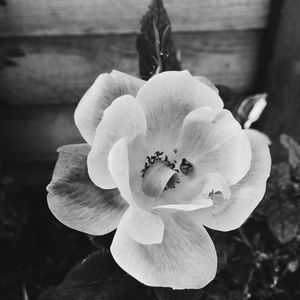 Meet your Posher, Joshua