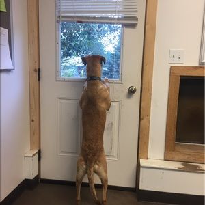 Meet your Posher, Angela