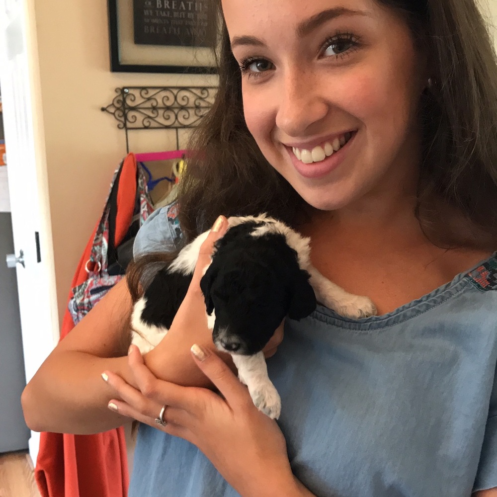 Meet your Posher, Alexis