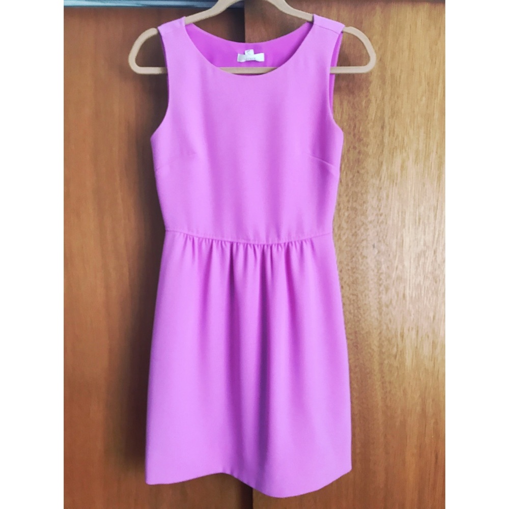 Lilac A-line JCrew Dress