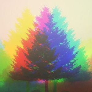 Meet your Posher, Jake