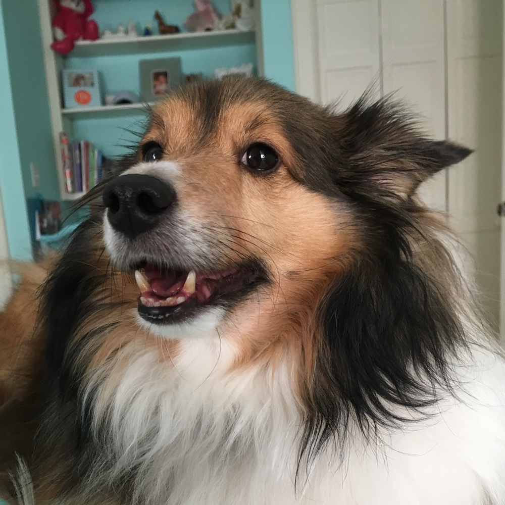 Meet your Posher, Isabel