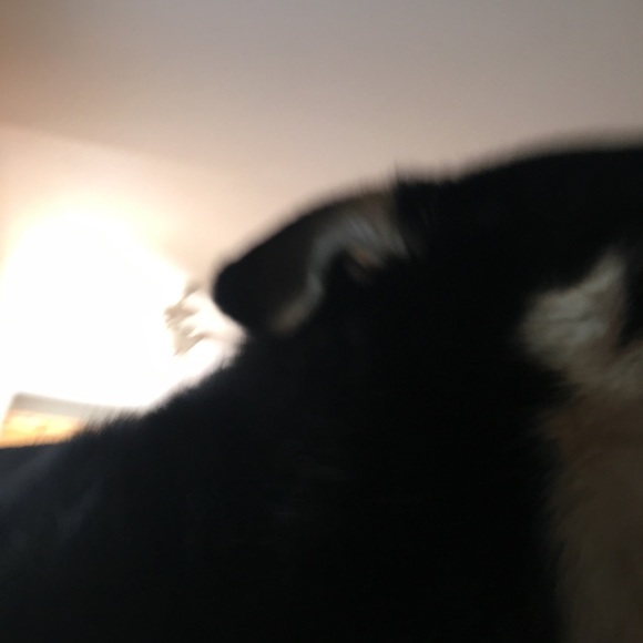 Meet your Posher, James - Picture 1 of 1