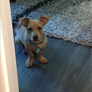 Meet your Posher, Larry