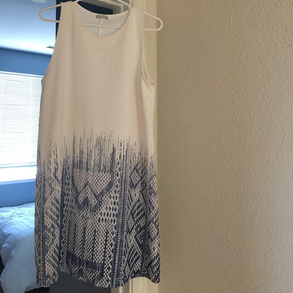 Zara dress