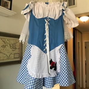 Adult Dorothy costume