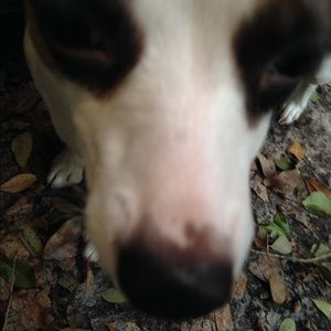 Meet your Posher, Josh